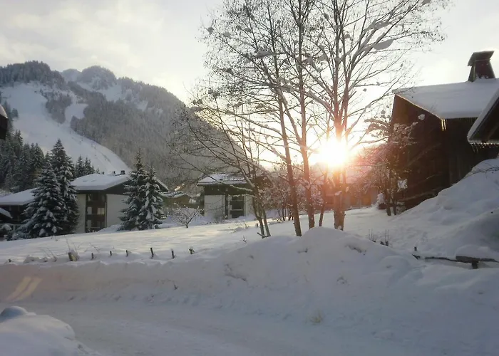 Appartement Azalee